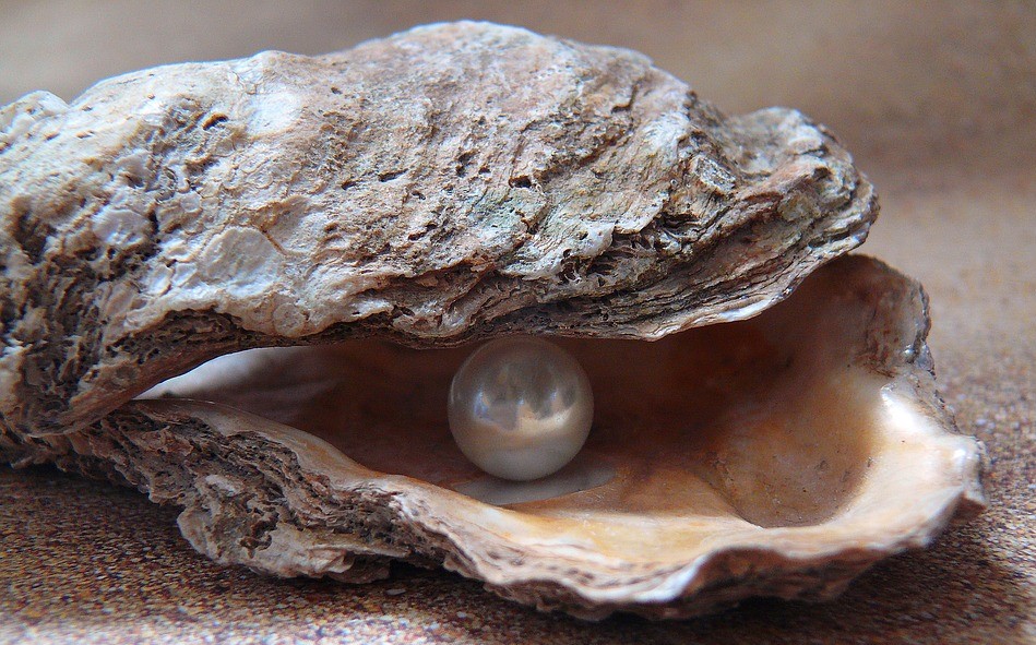 oester met parel2